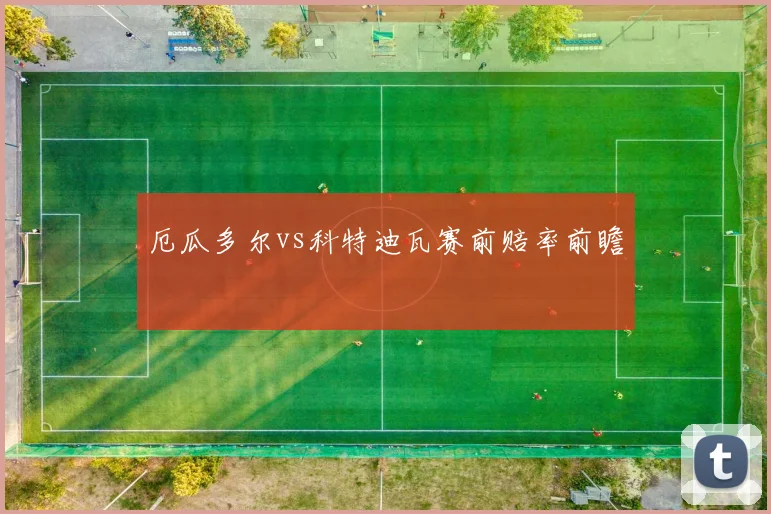 厄瓜多尔vs科特迪瓦赛前赔率前瞻 - 华体会体育