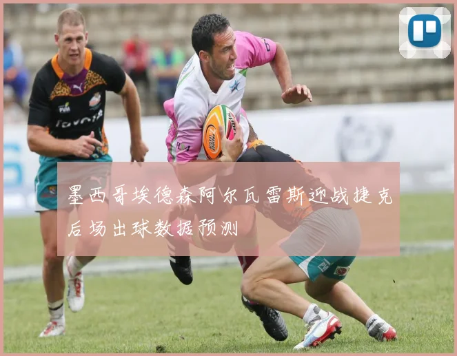 墨西哥埃德森阿尔瓦雷斯迎战捷克后场出球数据预测 - 华体会体育