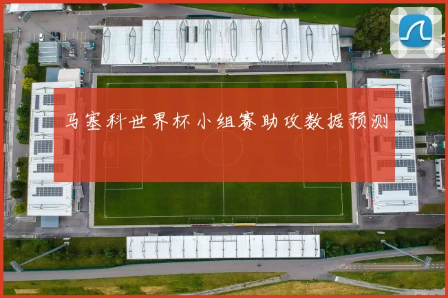 马塞科世界杯小组赛助攻数据预测 - 华体会体育