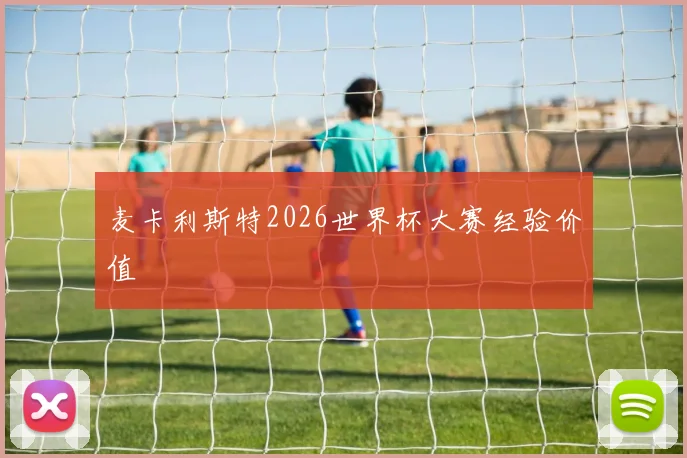 麦卡利斯特2026世界杯大赛经验价值 - 华体会体育