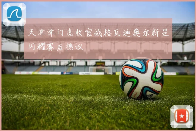 天津津门虎收官战格瓦迪奥尔新星闪耀赛后热议 - 华体会体育