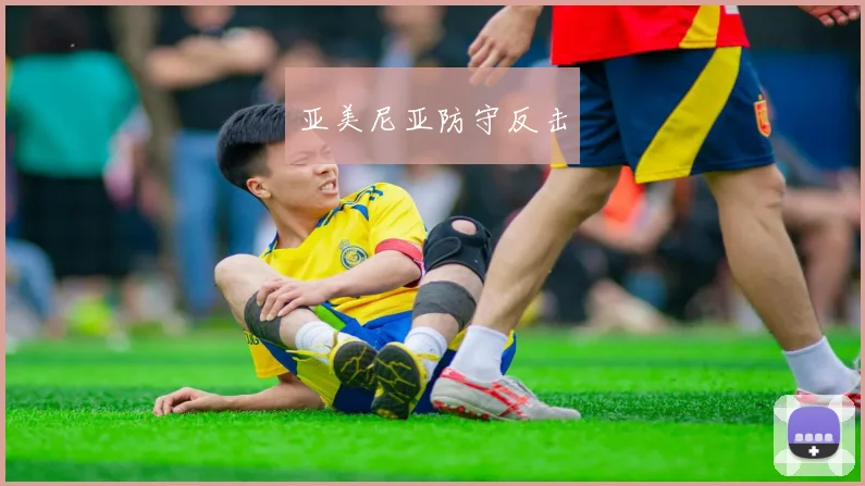 亚美尼亚防守反击 - 华体会体育