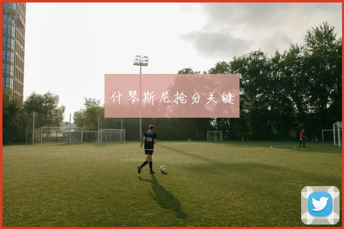 什琴斯尼抢分关键 - 华体会体育