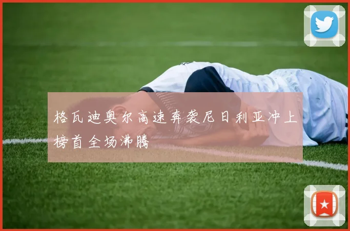 格瓦迪奥尔高速奔袭尼日利亚冲上榜首全场沸腾 - 华体会体育